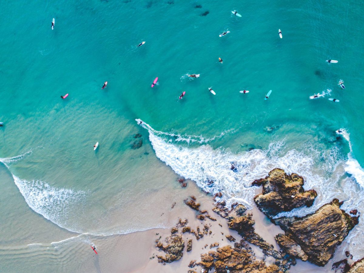 Noosa Heads Australia Surfers In Water