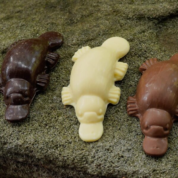 Obi the Platypus - 65g