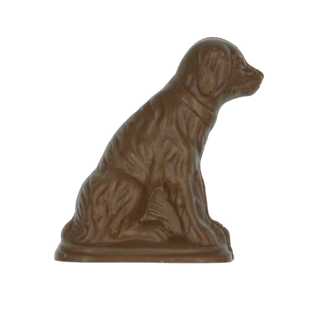 Dog - 40g