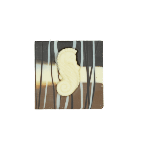 Triple Chocolate - Small - 65g