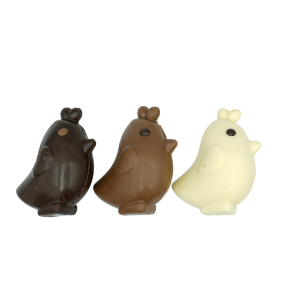 Chick - 40g